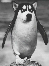 EMLOG